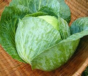Cabbage Poultice